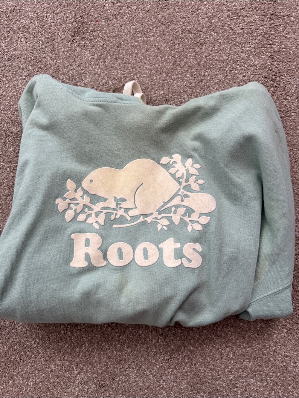 Roots Mint Green Sweatshirt with Cream Beaver Logo